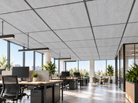 Dalle acoustique de plafond en bois, finition chêne blanchi, installée dans un bureau contemporain