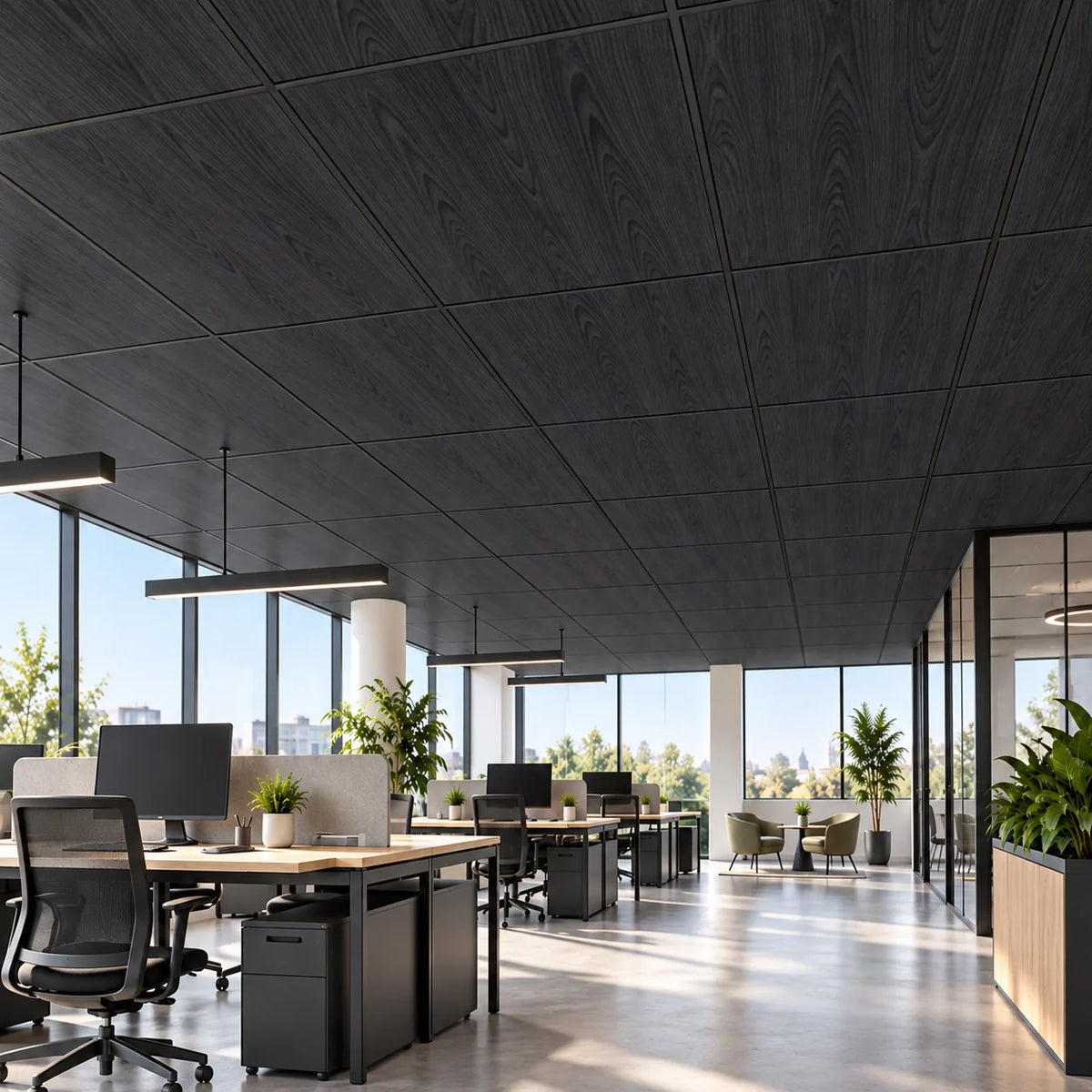 Dalle acoustique de plafond en bois, finition frêne noir, installée dans un bureau contemporain